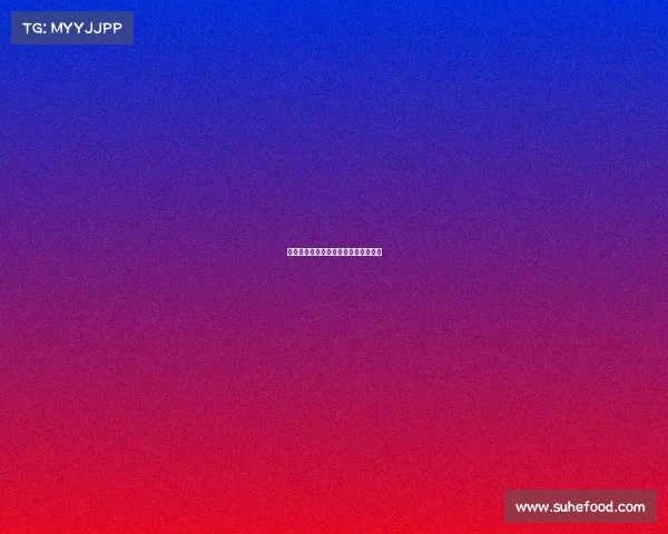 网球比赛国际规则详解与最新调整解析