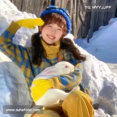 明贞梦